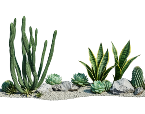 ModernPlant Leaves