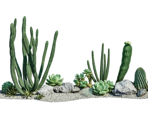 ModernPlant Leaves