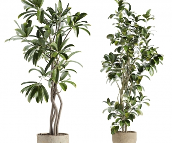 Modern Ground Green Plant Potted Plants-ID:976624974
