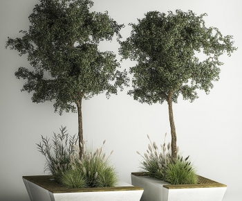 Modern Tree Pool-ID:930037027