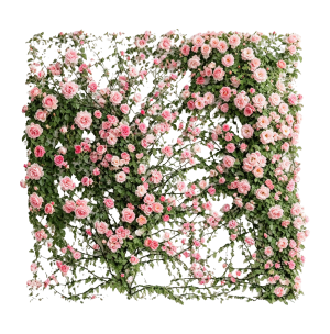 ModernPlant Leaves