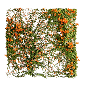 ModernPlant Leaves