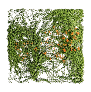 ModernPlant Leaves