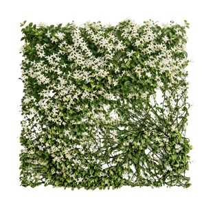 ModernPlant Leaves