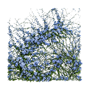 ModernPlant Leaves