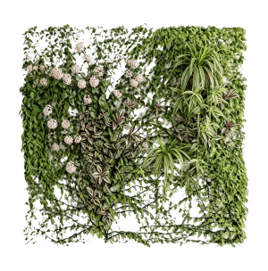 ModernPlant Leaves