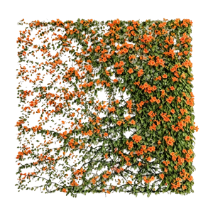 ModernPlant Leaves