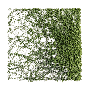 ModernPlant Leaves