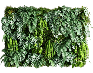 ModernPlant Leaves