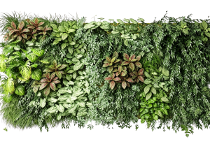 ModernPlant Leaves