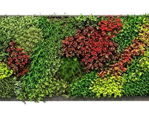 ModernPlant Leaves