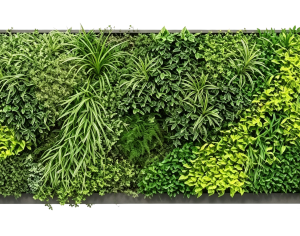 ModernPlant Leaves
