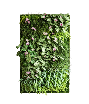 ModernPlant Leaves