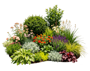 ModernPlant Leaves