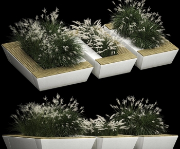 Modern Flower Bed, Flower Bowl, Flower Box-ID:122330905