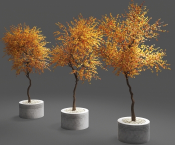 Modern Tree-ID:347174882