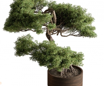 Modern Ground Green Plant Potted Plants-ID:821170093