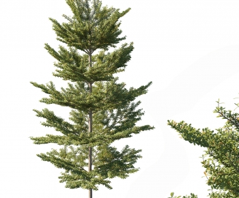 Modern Tree-ID:871743922