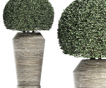 Modern Ground Green Plant Potted Plants-ID:171369087