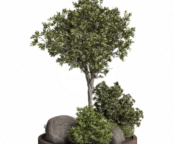 Modern Plant Pile-ID:731999975