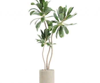 Modern Ground Green Plant Potted Plants-ID:319581063