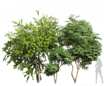 Modern Tree-ID:393985992