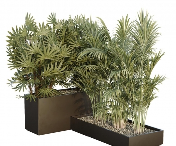 Modern Flower Bed, Flower Bowl, Flower Box-ID:219753031