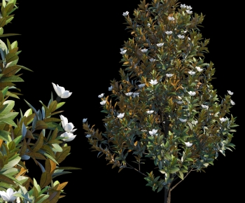 Modern Tree-ID:342391977