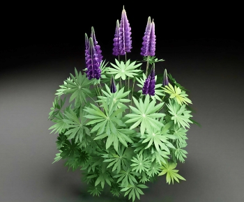 Modern Plant-ID:448599103