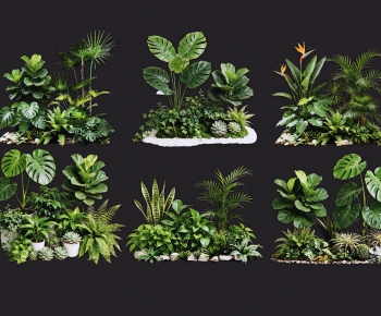 Modern Plant Pile-ID:260015019