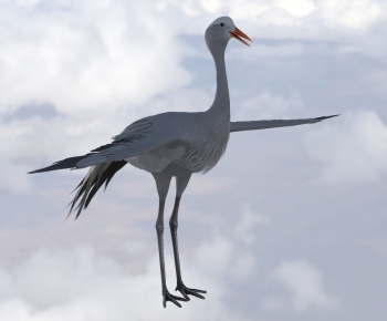 Modern Flying Animals-ID:491206882