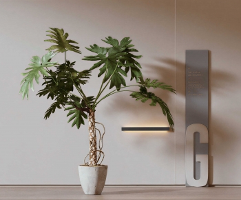 Modern Ground Green Plant Potted Plants-ID:732255946