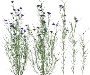 Modern Flowers And Grass-ID:947586063