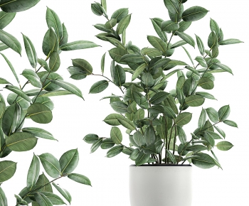 Modern Potted Green Plant-ID:102999253