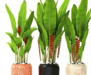 Modern Ground Green Plant Potted Plants-ID:797918081