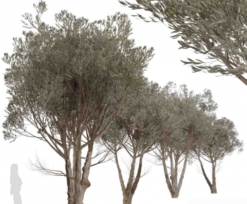 Modern Tree-ID:762702945