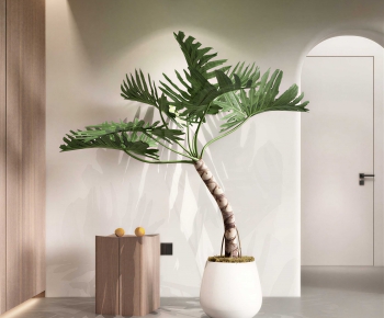 Modern Potted Green Plant-ID:102730995