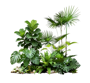 ModernPlant Leaves