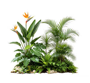 ModernPlant Leaves