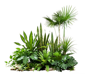 ModernPlant Leaves