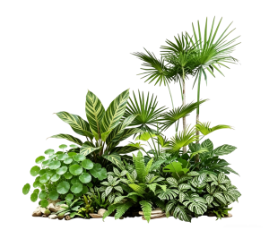 ModernPlant Leaves
