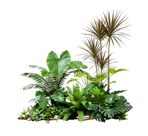ModernPlant Leaves