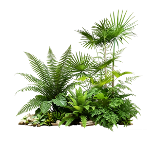 ModernPlant Leaves