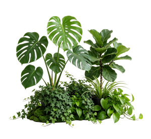 ModernPlant Leaves