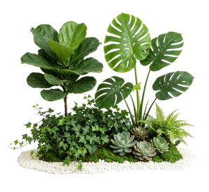 ModernPlant Leaves