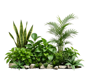 ModernPlant Leaves