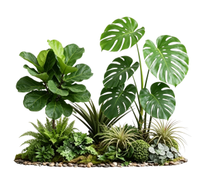ModernPlant Leaves