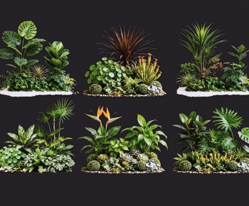 Modern Plant Pile-ID:829665904