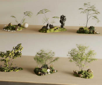 Modern Plant Landscaping-ID:638628018