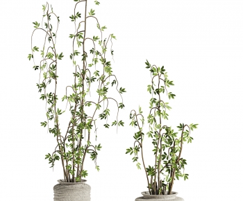 Modern Ground Green Plant Potted Plants-ID:374394893